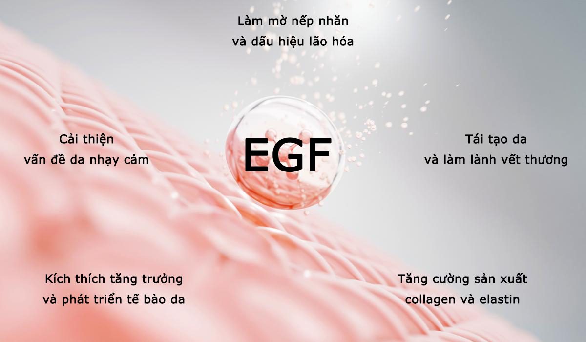 Hướng dẫn sử dụng Epidermal Growth Factor (EGF) hiệu quả