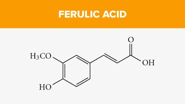 Ferulic acid là gì? Cơ chế hoạt động ra sao