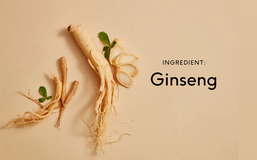 Ginseng extract là gì? Công dụng của ginseng extract đối với sức khỏe