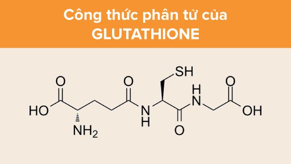 Glutathione là gì? Cấu trúc hóa học của Glutathione