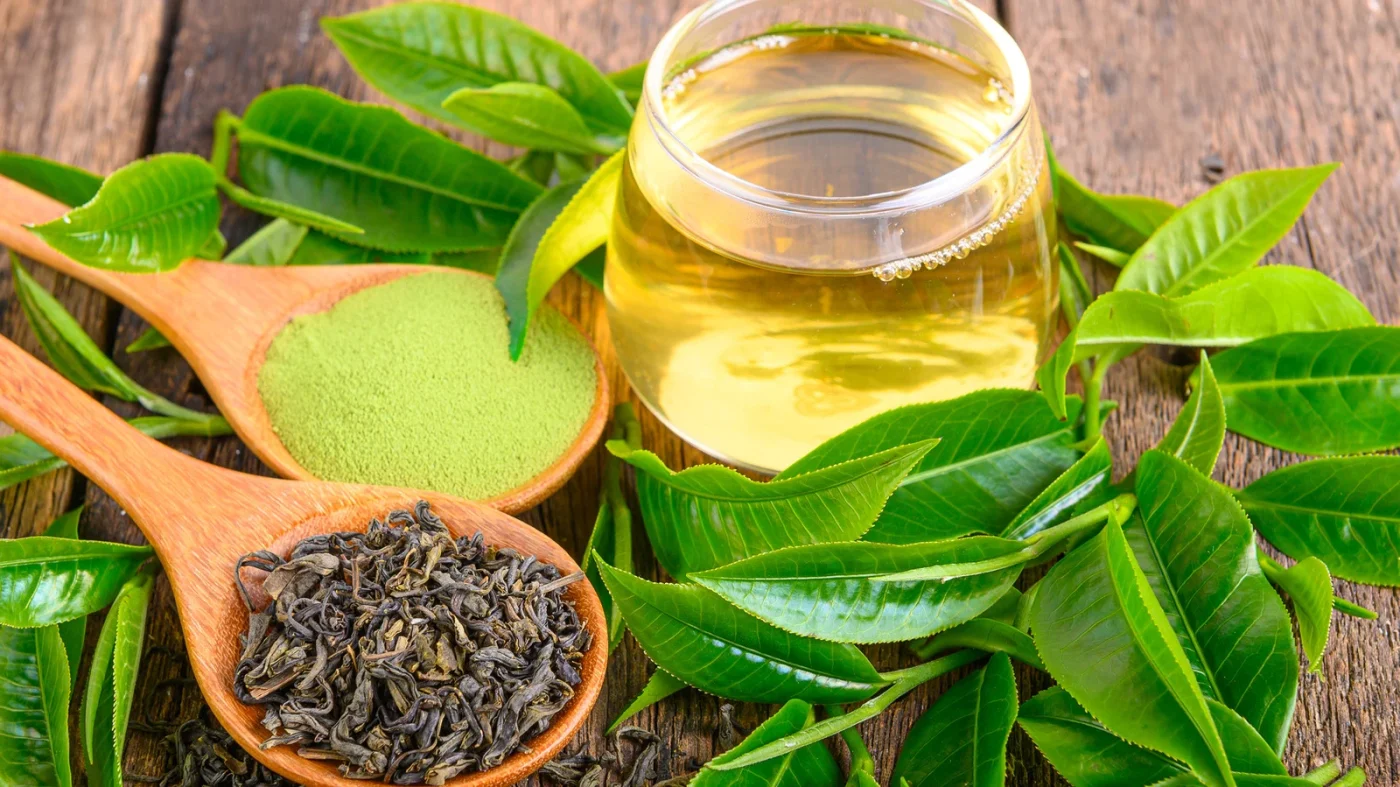 Green tea extract được ứng dụng thế nào trong các sản phẩm chăm sóc da cao cấp của Dr-Spiller.vn