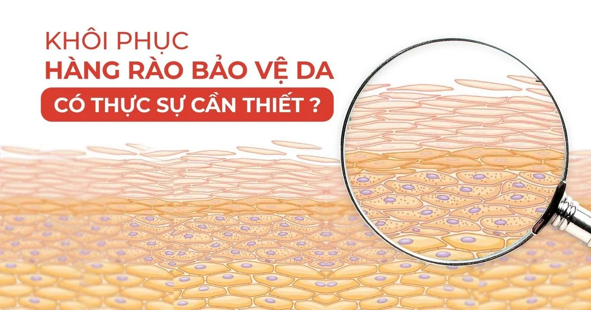Hàng rào bảo vệ da là gì? Tìm hiểu vai trò của hàng rào bảo vệ da