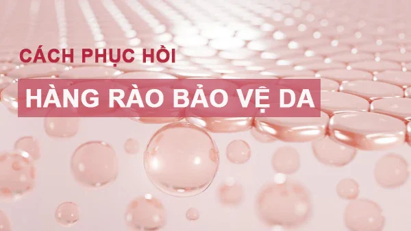 Các yếu tố ảnh hưởng đến Hàng Rào Bảo Vệ Da