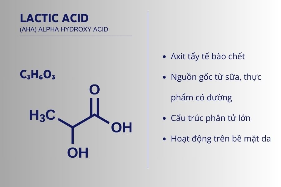Lactic acid là gì?