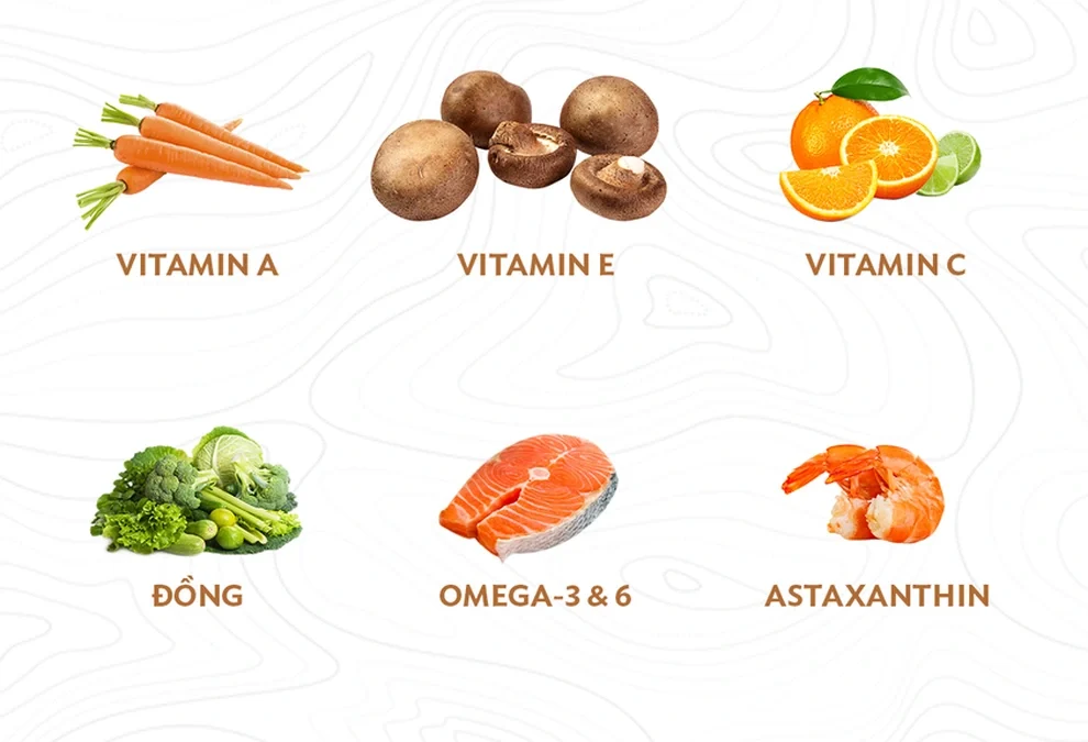 Làn da cần những vitamin và chất dinh dưỡng nào