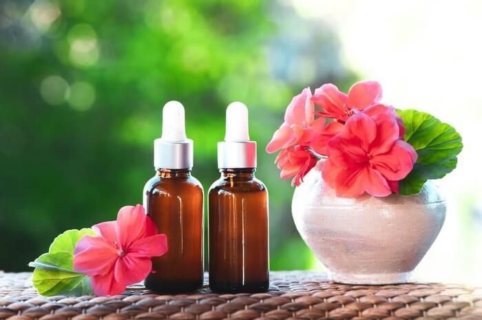 Tinh dầu phong lữ hỗ trợ tái tạo tế bào và chữa lành da