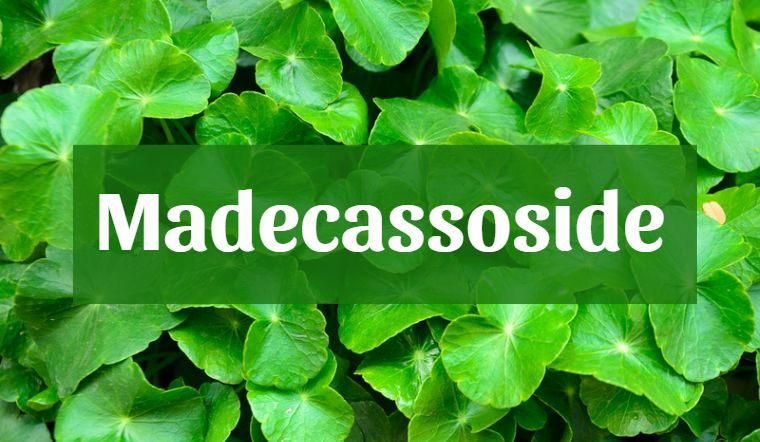 Madecassoside là gì? Lợi ích như thế nào với làn da