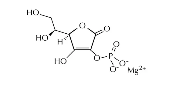Magnesium ascorbyl phosphate là gì? Tìm hiểu cấu trúc và cơ chế hoạt động của Magnesium ascorbyl phosphate