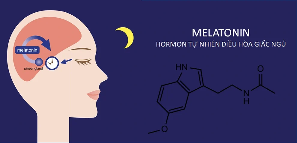 Melatonin là gì? Lợi ích của melatonin đối với sức khỏe