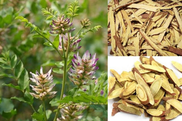 Một số mẹo dân gian chữa mẩn đỏ da nhạy cảm phổ biến hiện nay