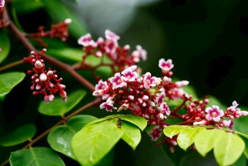 Những lưu ý khi áp dụng mẹo dân gian giúp da nhạy cảm bớt mẩn ngứa