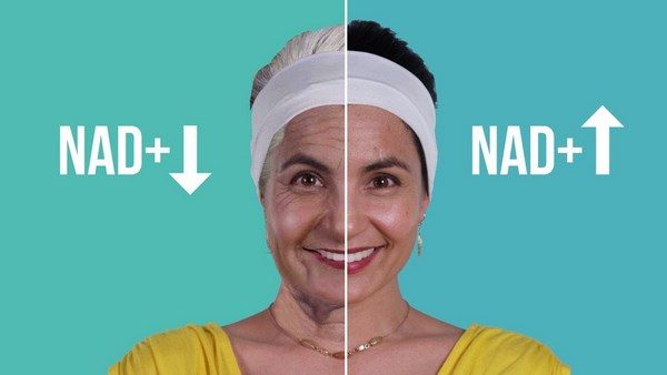 Câu hỏi đặt ra: bổ sung NAD+ có phù hợp cho mọi đối tượng, hay có những lưu ý đặc biệt về liều lượng và độ tuổi?