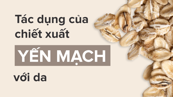 Oat extract là gì? Ứng dụng của oat extract trong chăm sóc da
