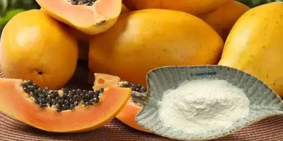 Giải đáp các thắc mắc khi sử dụng sản phẩm chứa thành phần papain