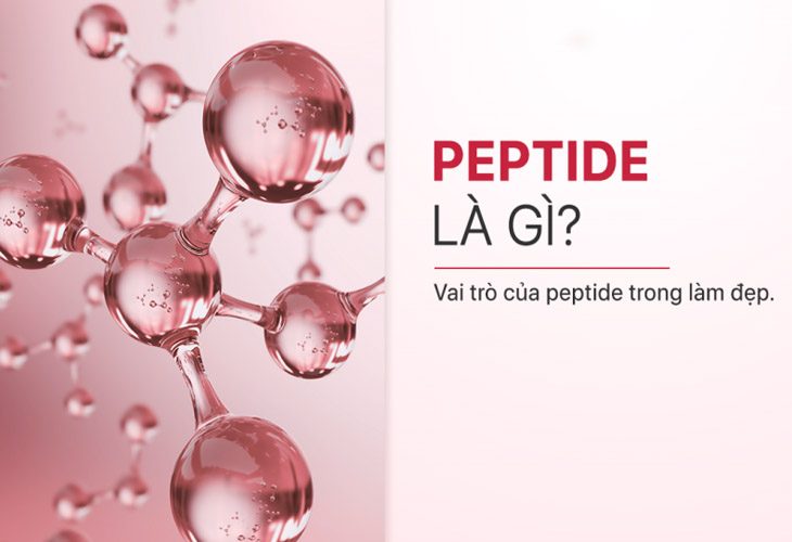 Peptide là gì? Loại peptide nào là phù hợp nhất với từng mục đích sử dụng và cơ địa mỗi người?