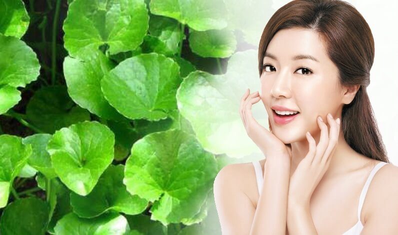 Tìm hiểu rau má có tác dụng gì cho da mặt