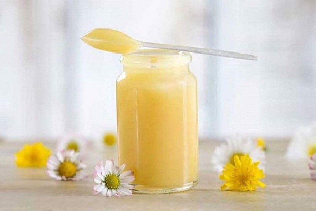 Royal jelly là gì? Thành phần dinh dưỡng đặc biệt có trong royal jelly