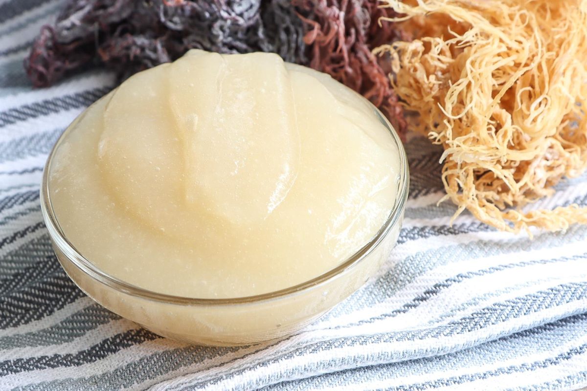 Sea moss gel là gì và nguồn gốc hình thành của sea moss