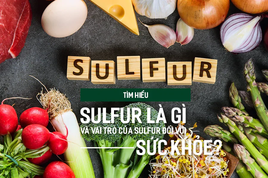 Những thực phẩm có thành phần sulfur tốt cho cơ thể