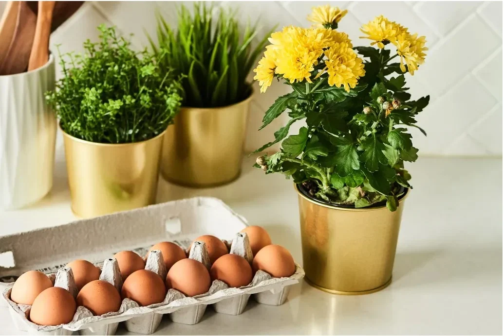 Giải đáp những thắc mắc khi tắm bằng trứng gà