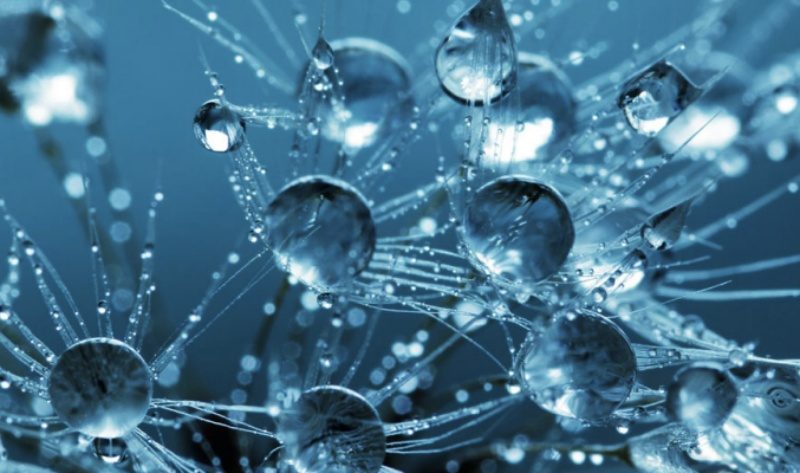 Trehalose là gì? Ứng dụng như thế nào trong ngành mỹ phẩm