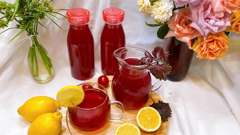 Một số lưu ý khi uống nước lá tía tô