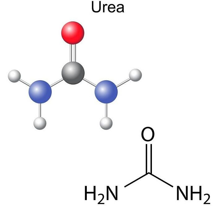 Urea là gì? Ứng dụng của urea trong ngành mỹ phẩm
