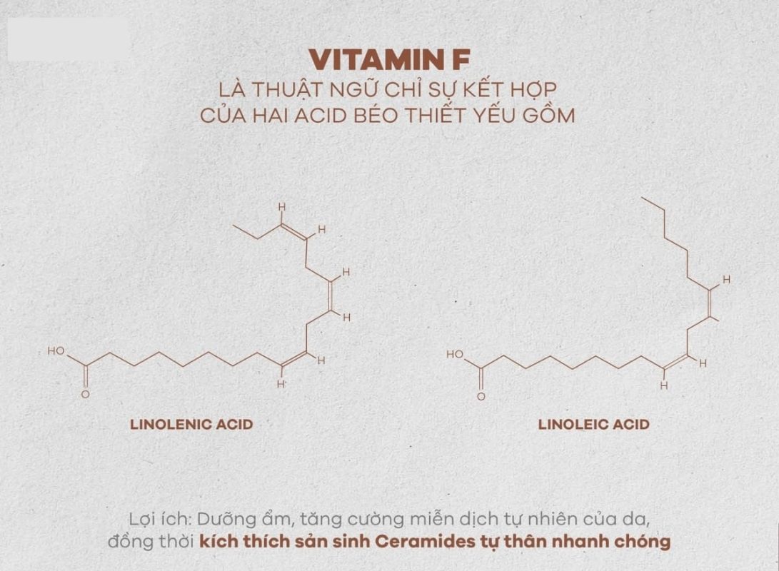 Sự kết hợp giữa vitamin F và các thành phần khác liệu có giúp tăng tốc độ phục hồi da hay không?