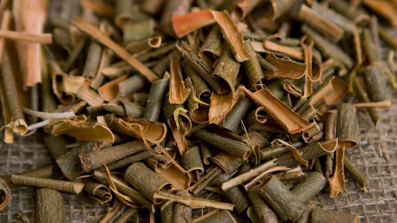 Willow bark extract là gì? Tại sao lại được dùng trong ngành mỹ phẩm