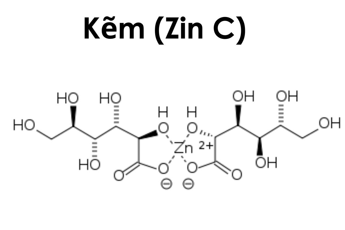 Zinc pca là gì? Ứng dụng của zinc pca trong ngành mỹ phẩm
