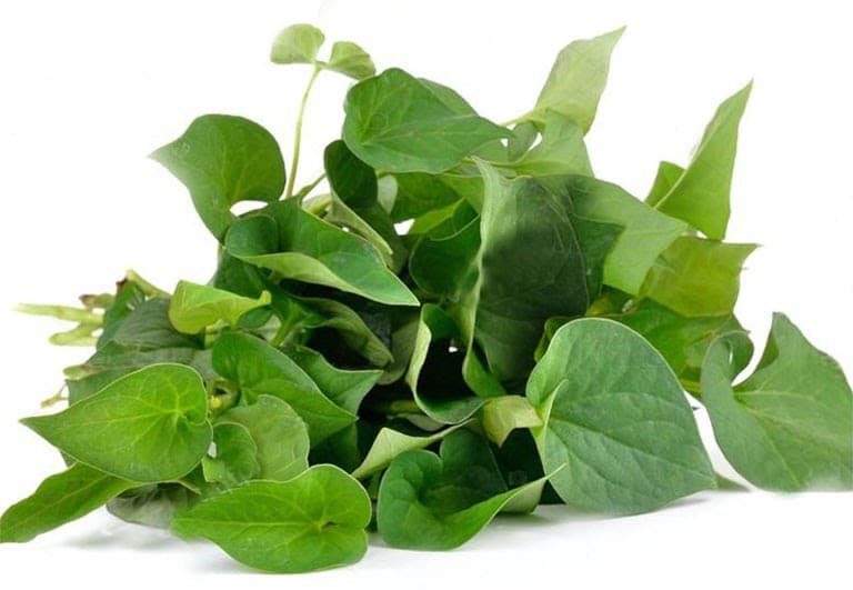 Rau diếp cá giúp thanh lọc, làm mát và giảm mụn hiệu quả