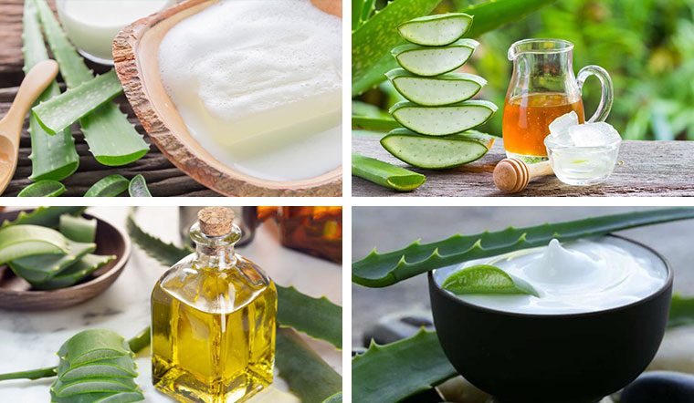 Những cách dùng nha đam trị nám phổ biến hiện nay