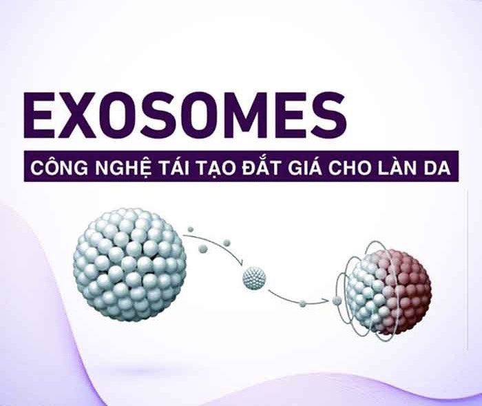 Hiểu đúng về Exosome và tế bào gốc: Bản chất sinh học