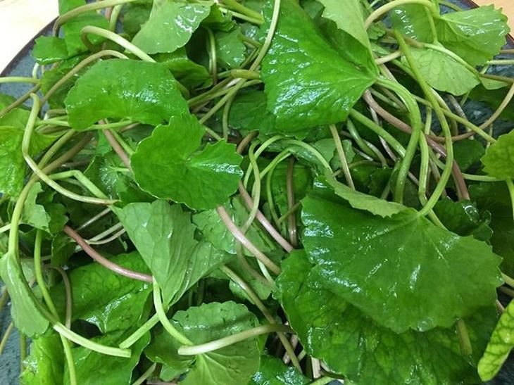 Những mẹo dân gian trị mụn cho bà bầu được áp dụng phổ biến