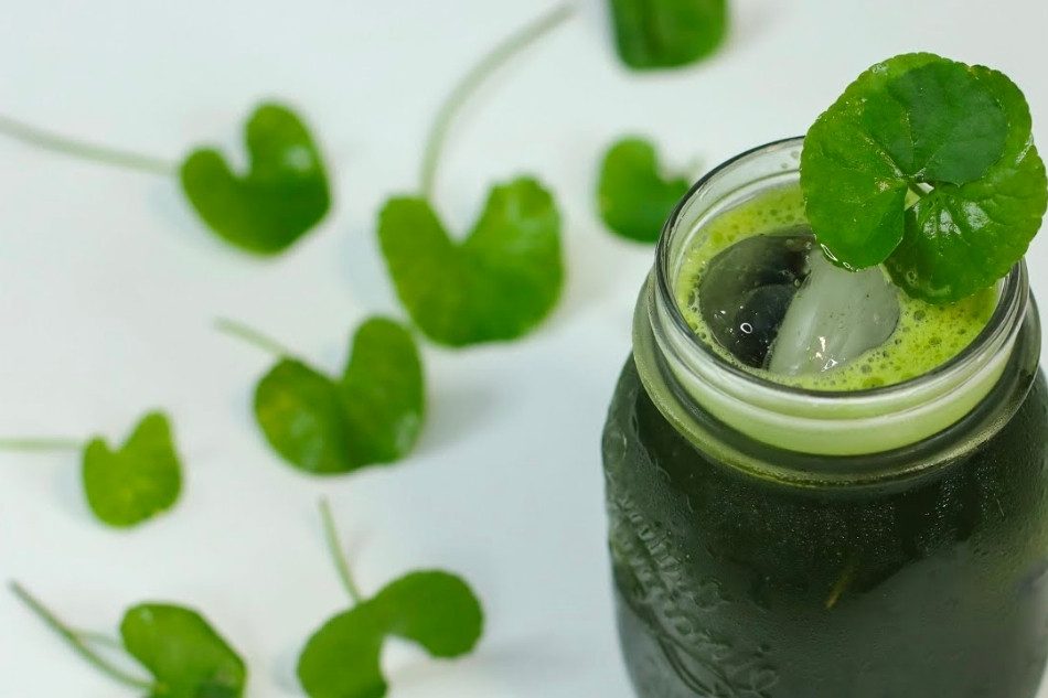 Uống nước ép rau má giúp ngăn ngừa mụn do nóng gan