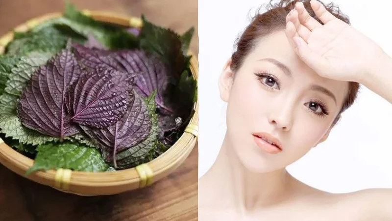Cách xông mặt đúng cách để đạt hiệu quả trắng da