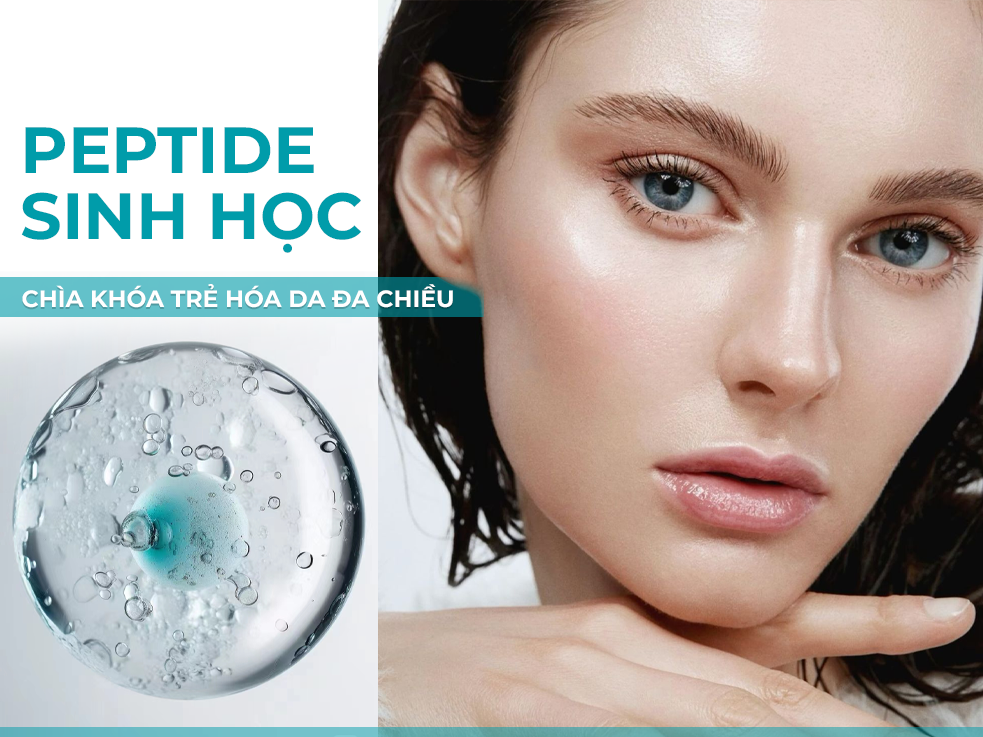 Peptide sinh học là gì? Ứng dụng của peptide sinh học trong ngành mỹ phẩm