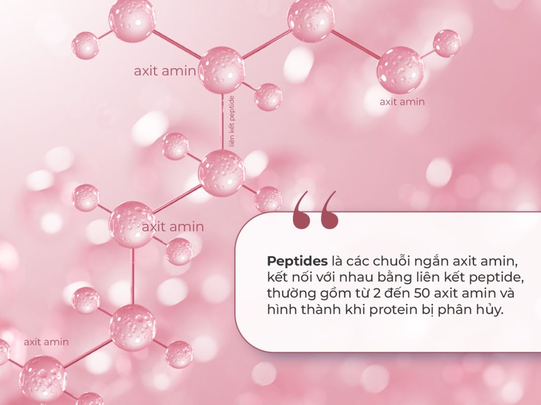 Tại sao cần phân biệt rõ peptides và peptides hoạt tính sinh học?
