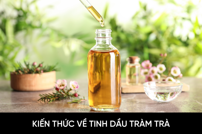 Tinh dầu Tea tree oil là gì và tại sao lại được tin dùng trong trị mụn?
