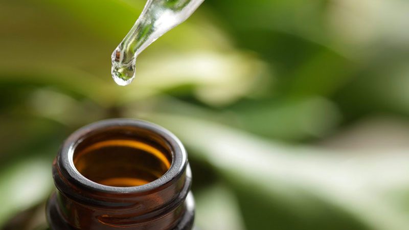 3 cách dùng tea tree oil trị mụn phổ biến hiện nay