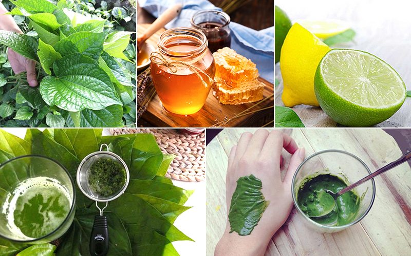 Trị mụn bằng lá lốt có thật sự hiệu quả