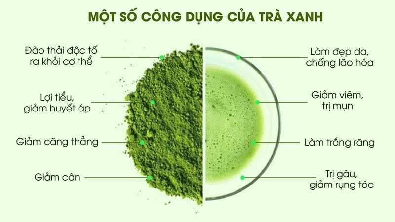 Nhờ vào những lợi ích này, việc sử dụng lá trà xanh trong chu trình chăm sóc da mụn là một lựa chọn sáng suốt và lành tính cho mọi loại da.
