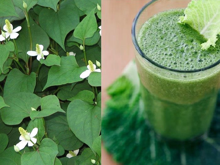 Bên cạnh việc sử dụng rau diếp cá để trị mụn, bạn cũng có thể kết hợp với các phương pháp chăm sóc da khác để tăng cường hiệu quả điều trị.