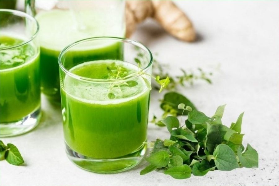 Với những thành phần này, rau diếp cá không chỉ trị mụn mà còn giúp làn da bạn trở nên khỏe mạnh và rạng rỡ.