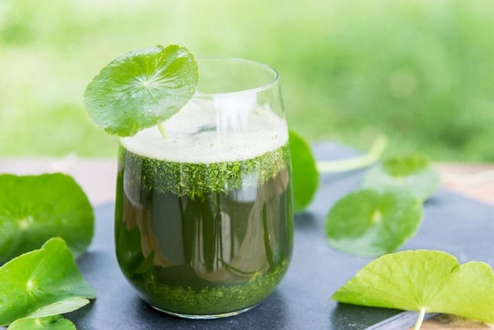 Rau má giúp làm dịu da, mát gan và giảm mụn hiệu quả