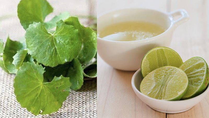 Một vài lưu ý khi trị mụn bằng rau má