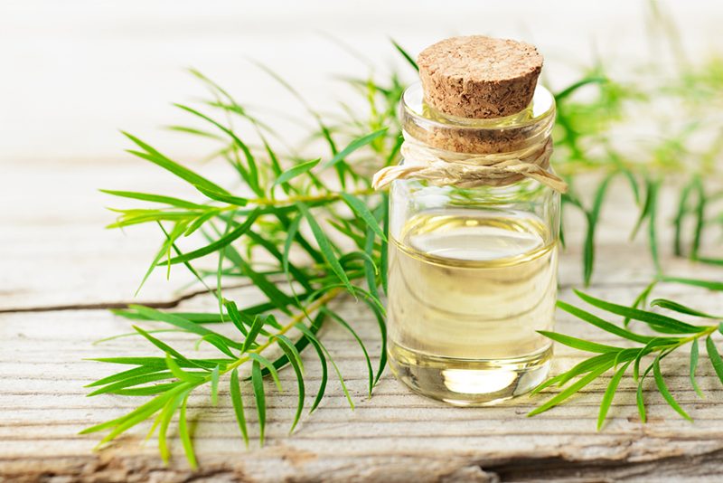 Những lưu ý khi trị mụn bằng tinh dầu tràm trà