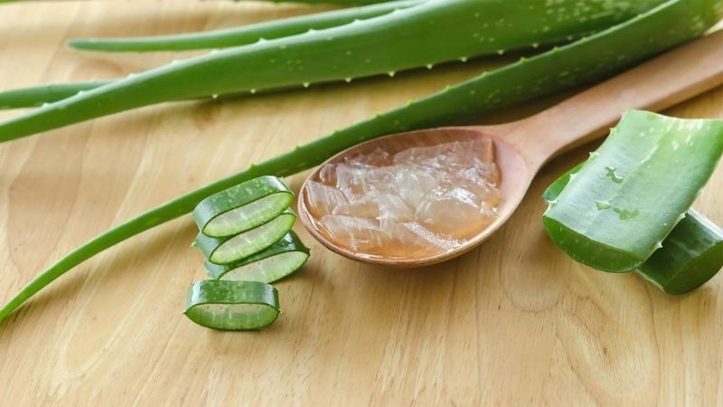 Lợi ích của nha đam trong việc trị mụn cho da nhạy cảm
