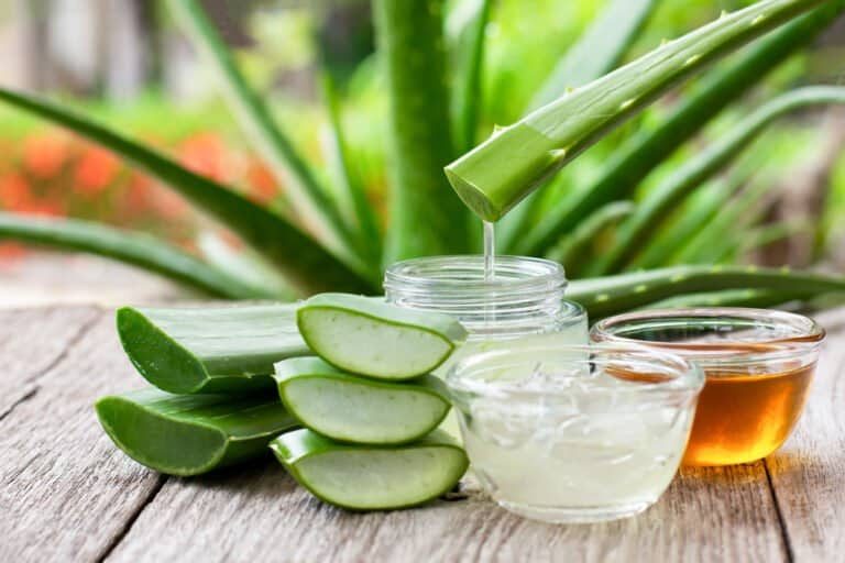 Ngoài ra, việc sử dụng nha đam cần kiên trì trong thời gian dài, không nên kỳ vọng hiệu quả tức thì chỉ sau vài lần thực hiện.