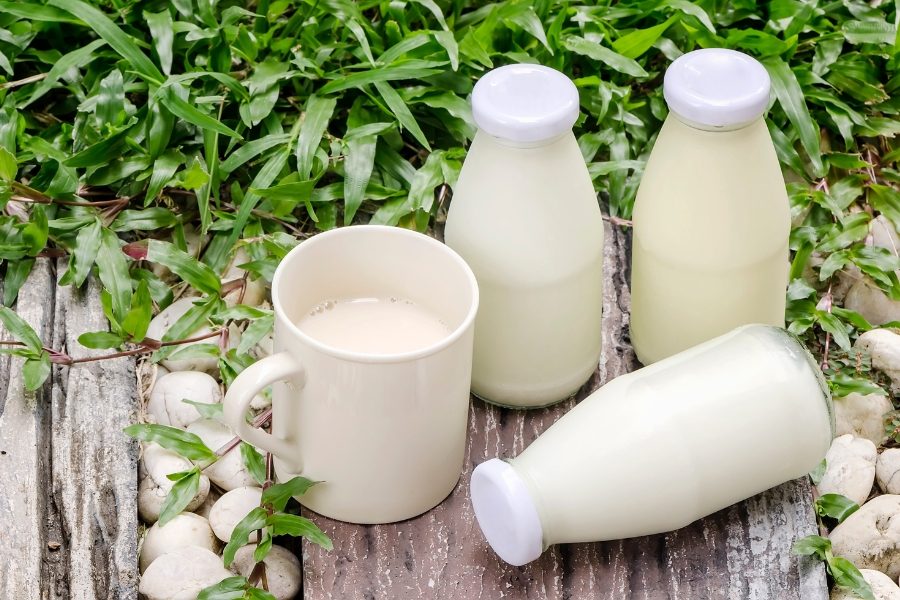 Nếu bạn nhạy cảm hoặc dị ứng với sữa hãy hạn chế các món liên quan đến sữa để không bị nổi mụn